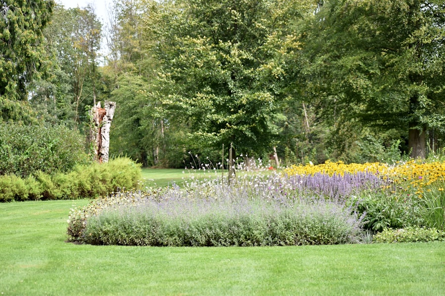 Jardin créé : pelouse et massifs fleuris