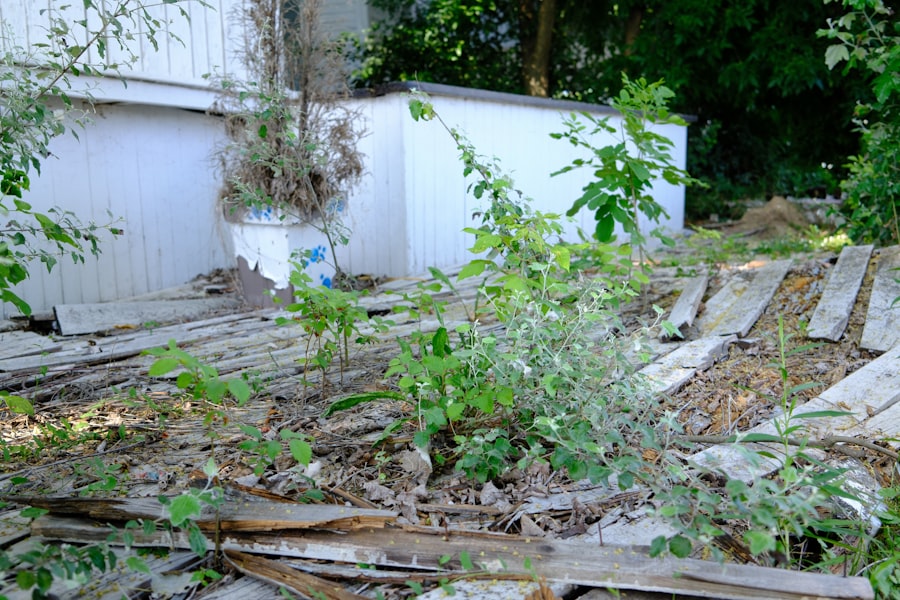 Jardin en friche avant intervention